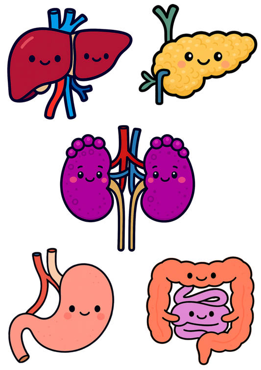 Funny Sticker Sheets, Sticker Sheet — Snarky Organs multi-design medical stickers