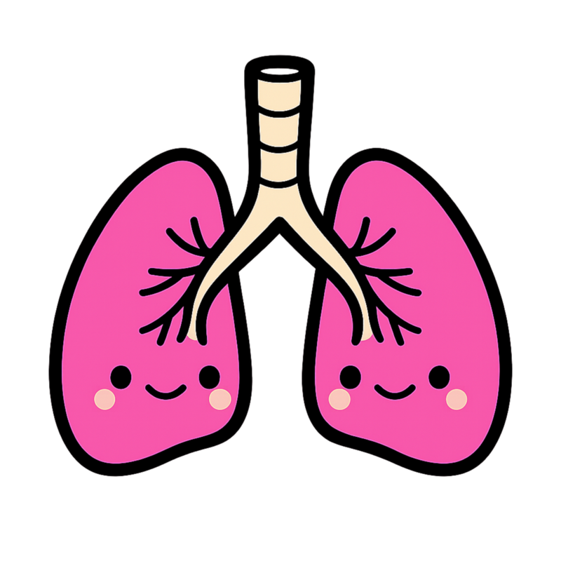 Lung Apron — Snarky Organs medical humor apron