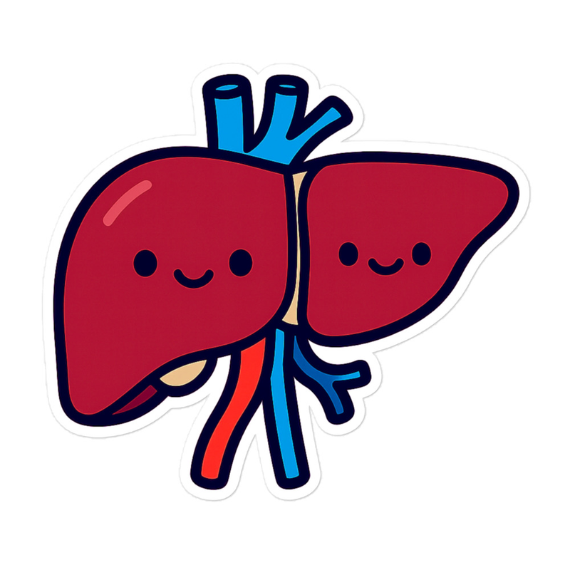 Healthy Liver Sticker detail view