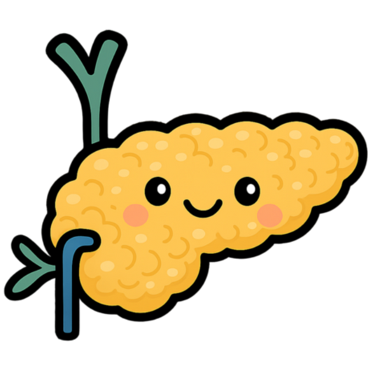 Pancreas Sticker color option 1