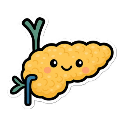 Pancreas Sticker color option 2