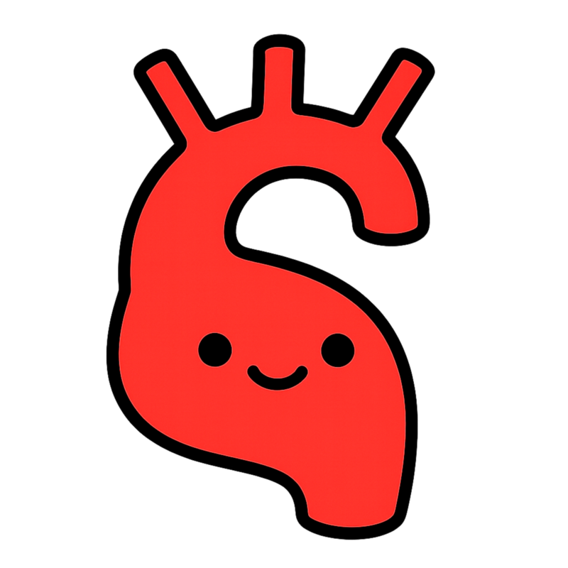 Aorta Sticker — Snarky Organs vinyl medical decal
