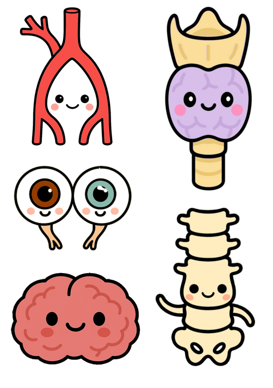 Funny Sticker Sheets, Sticker Sheet — Snarky Organs multi-design medical stickers