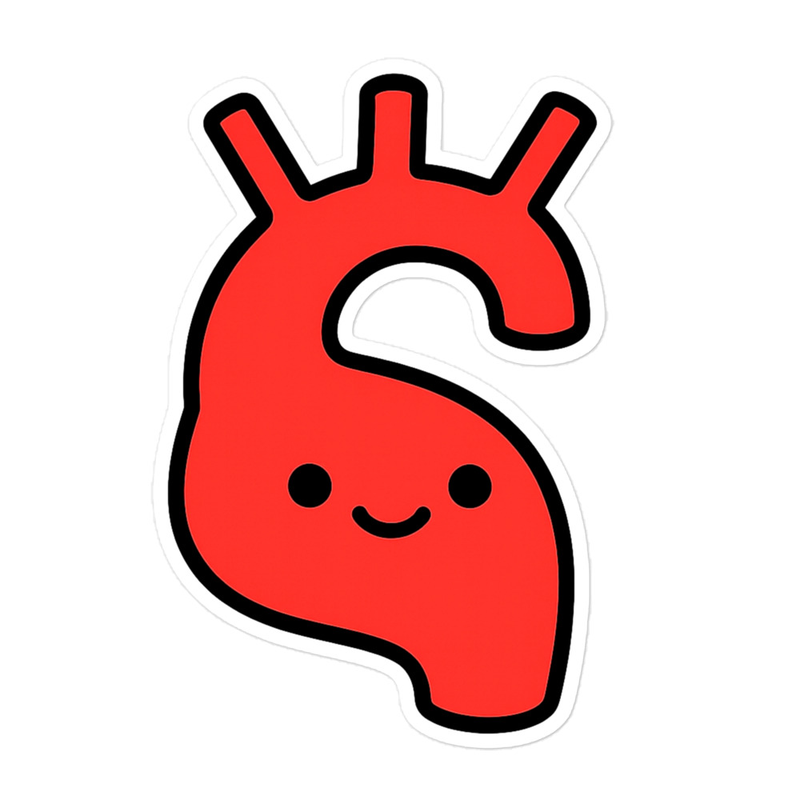 Aorta Sticker detail view