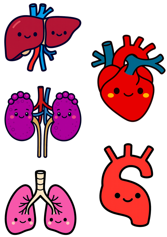 Funny Sticker Sheets, Sticker Sheet — Snarky Organs multi-design medical stickers