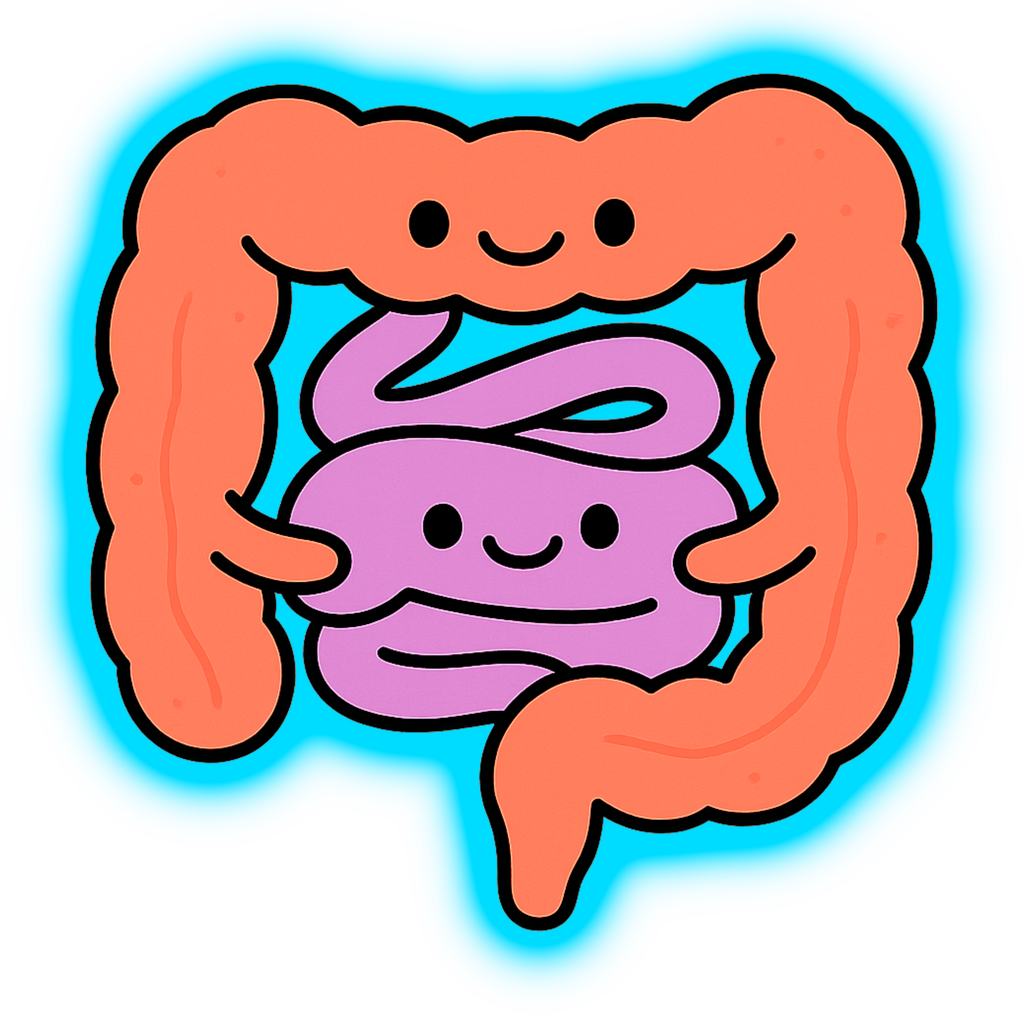 Stomach & Gut